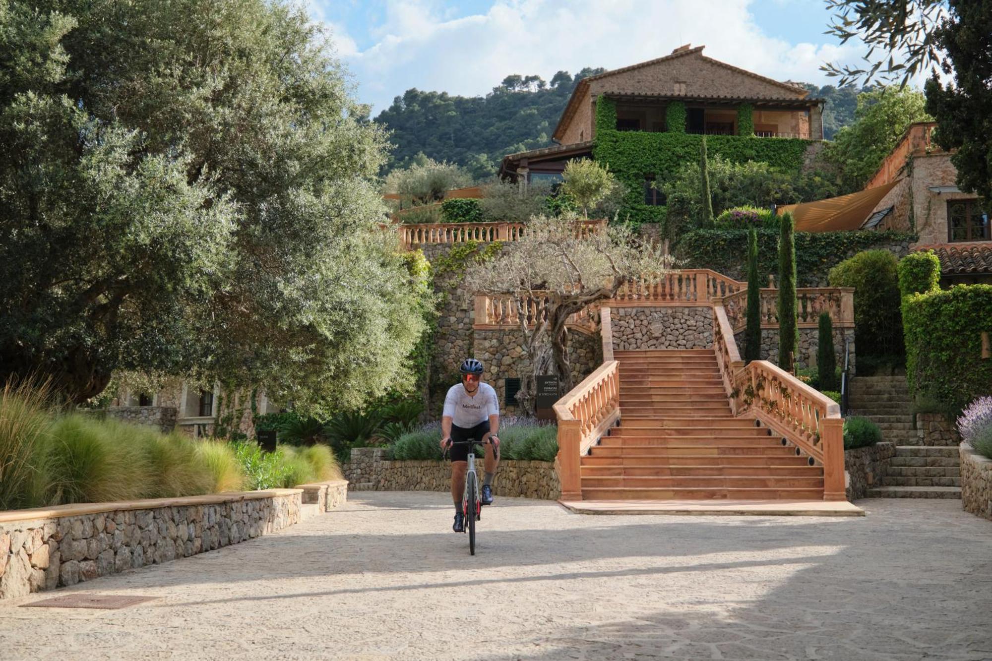 - The New Brand By It Mallorca Hotell